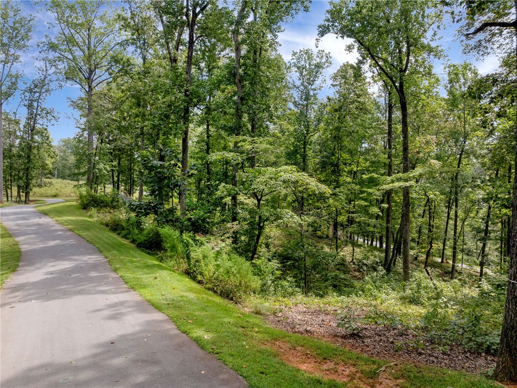 119 Sandy Hollow Six Mile, SC 29682 - Photo 10 of 17