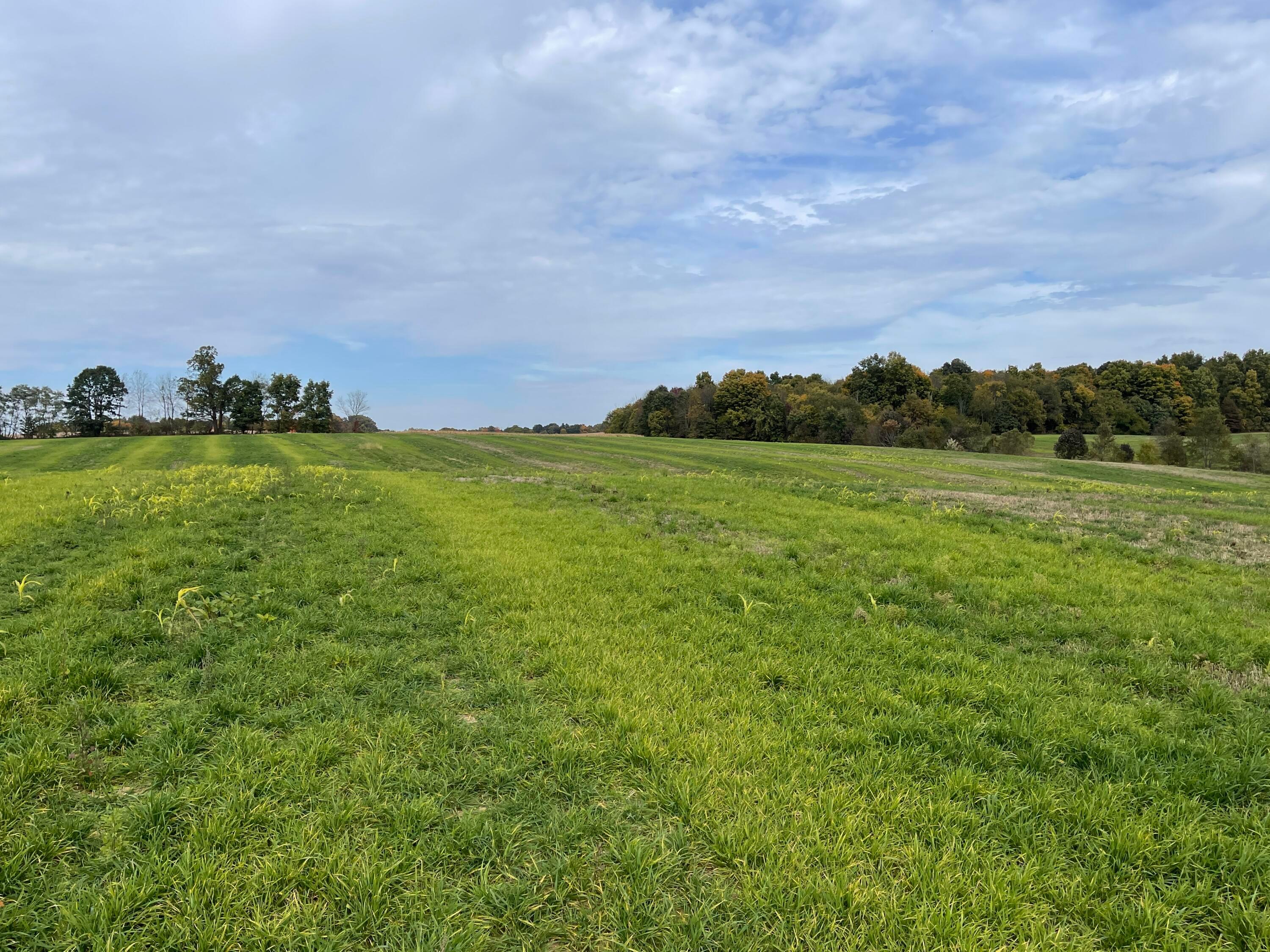 0 Upper Fredericktown Amity Road Howard, OH 43028 - Photo 15 of 18 15