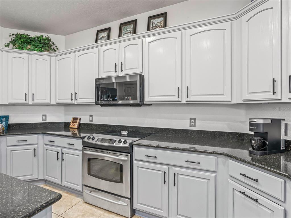 9052 Southeast 130th Loop Summerfield, FL 34491 - Photo 19 of 46