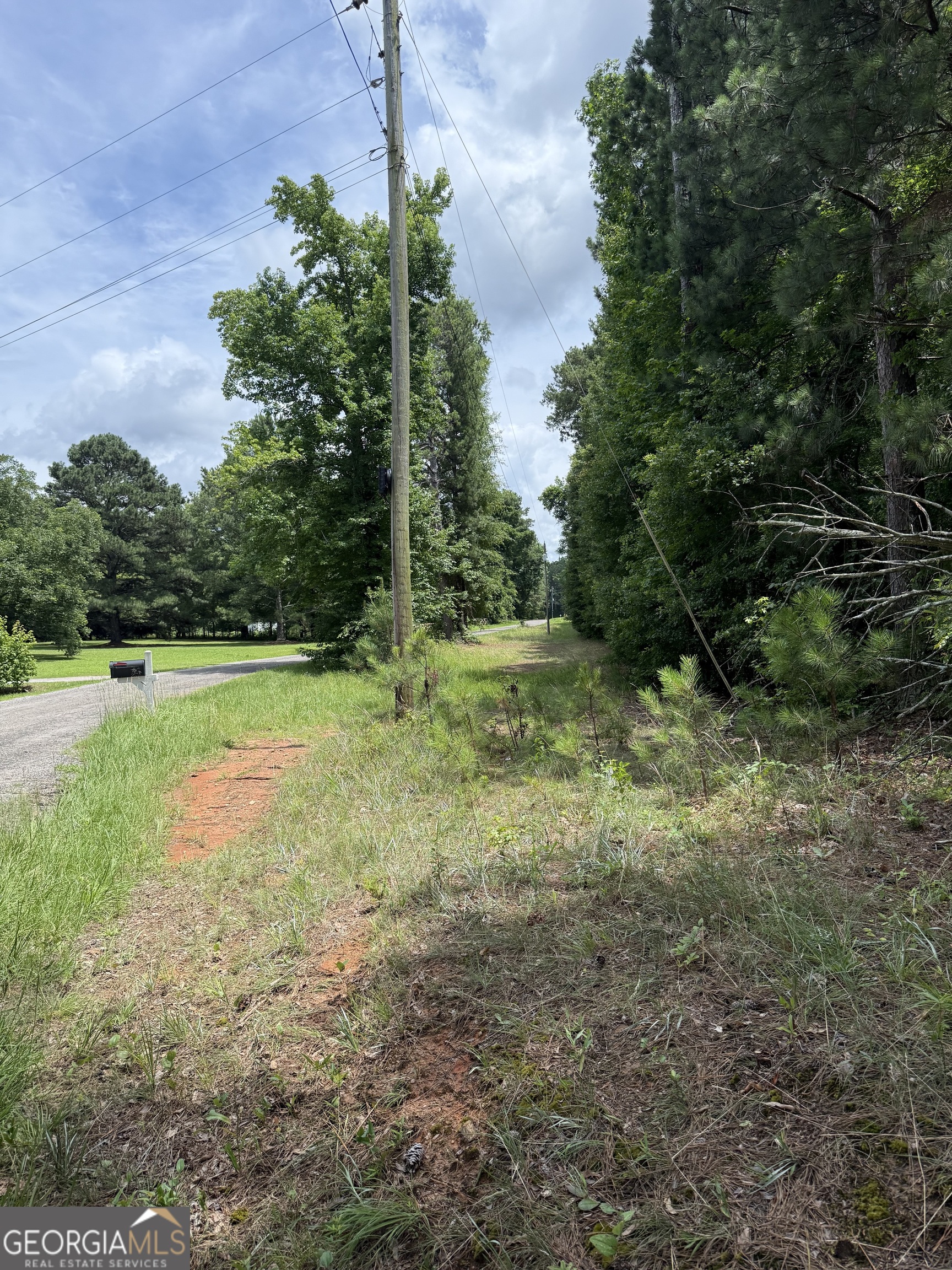 148 Hillview Road, Unit LOT#148 Hampton, GA 30228 - Photo 6 of 6