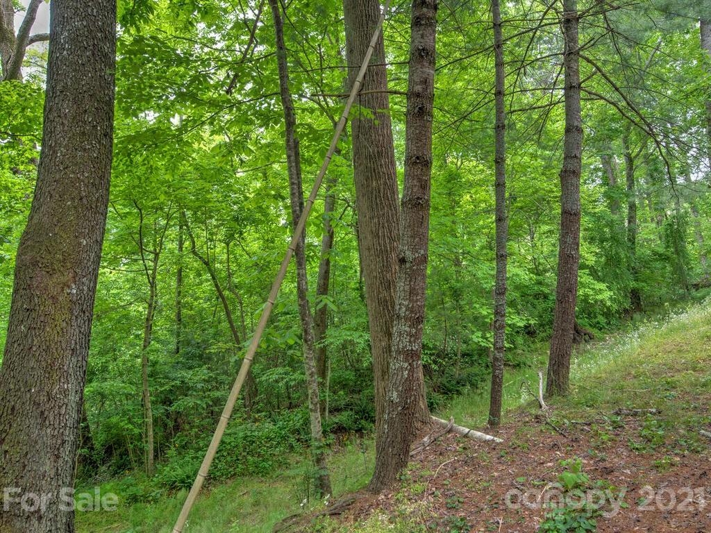 226 Church Road Fairview, NC 28730 - Photo 35 of 41 Gallery Image 35