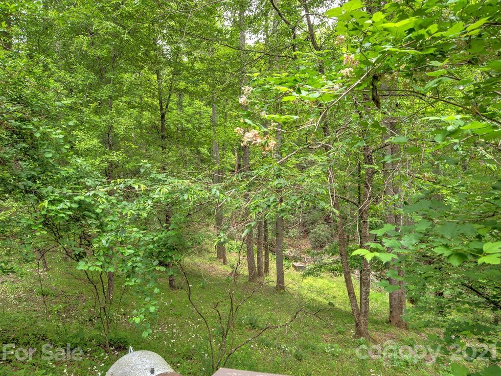 226 Church Road Fairview, NC 28730 - Photo 39 of 41 Gallery Image 39