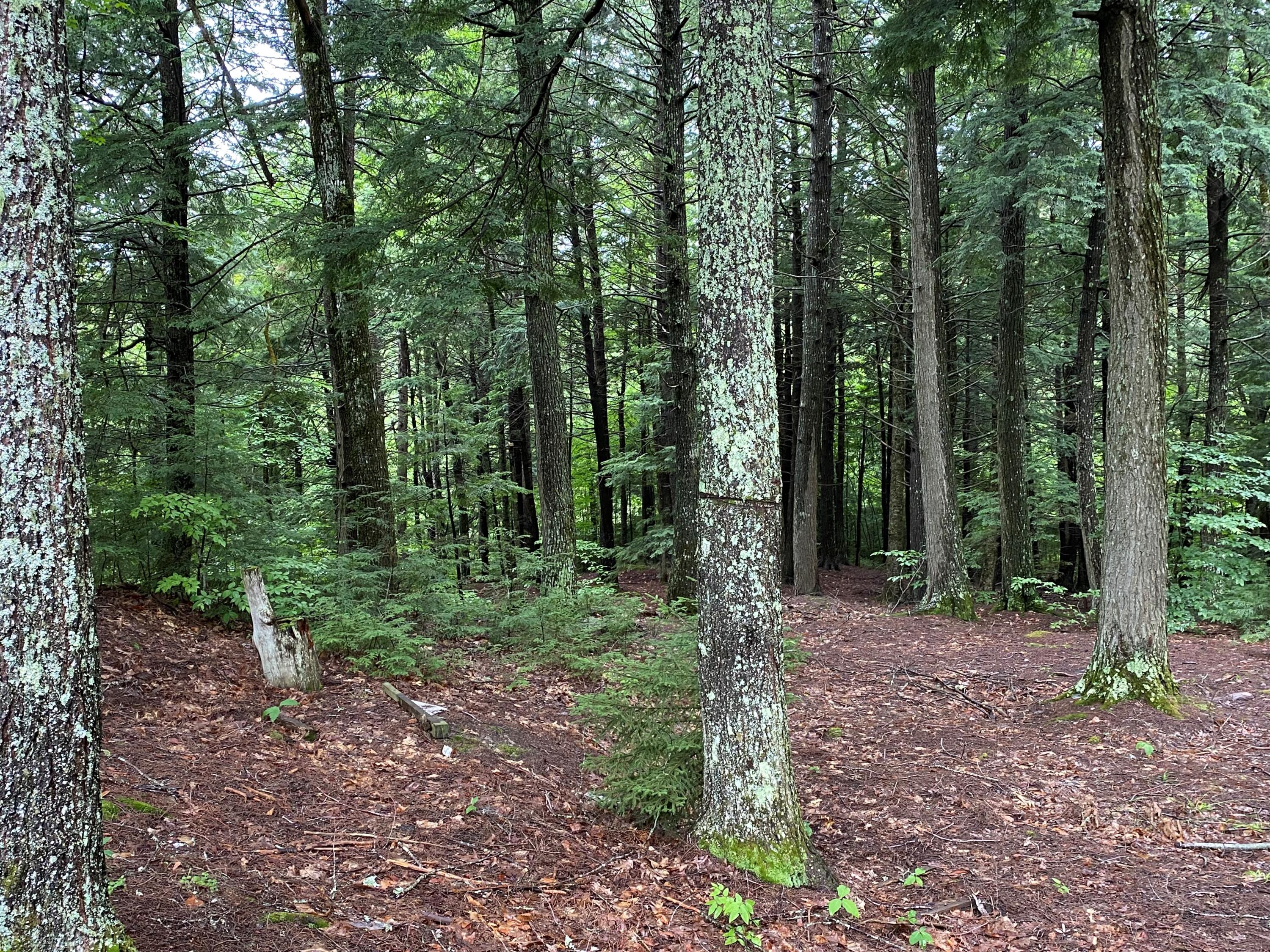 195 Drake Pond Road Jackson, ME 04921 - Photo 24 of 27 Grounds