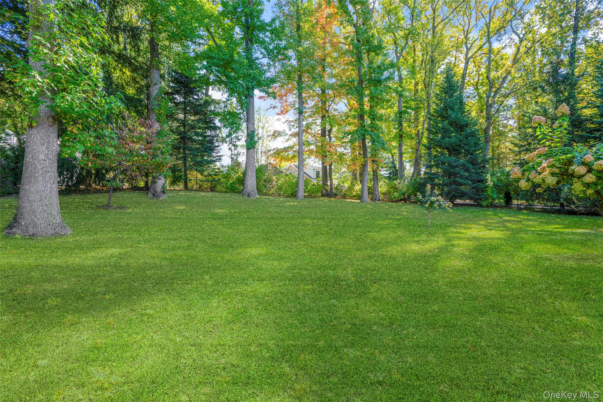 37 Barlow Lane Rye, NY 10580 - Photo 28 of 40 Great green space or possibly a pool