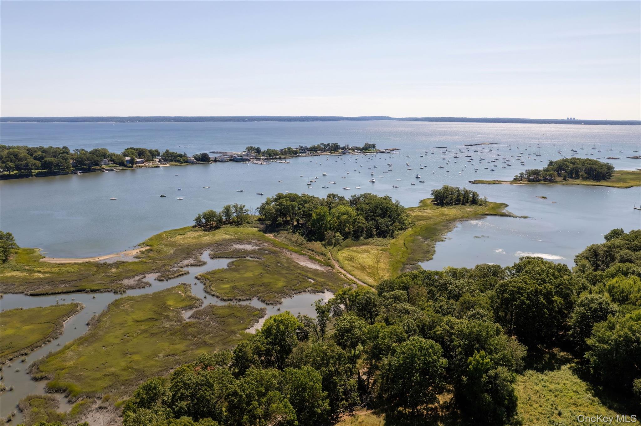 37 Barlow Lane Rye, NY 10580 - Photo 38 of 40 Views of the Marshlands and Hen Island just off the shore of Greenhaven-