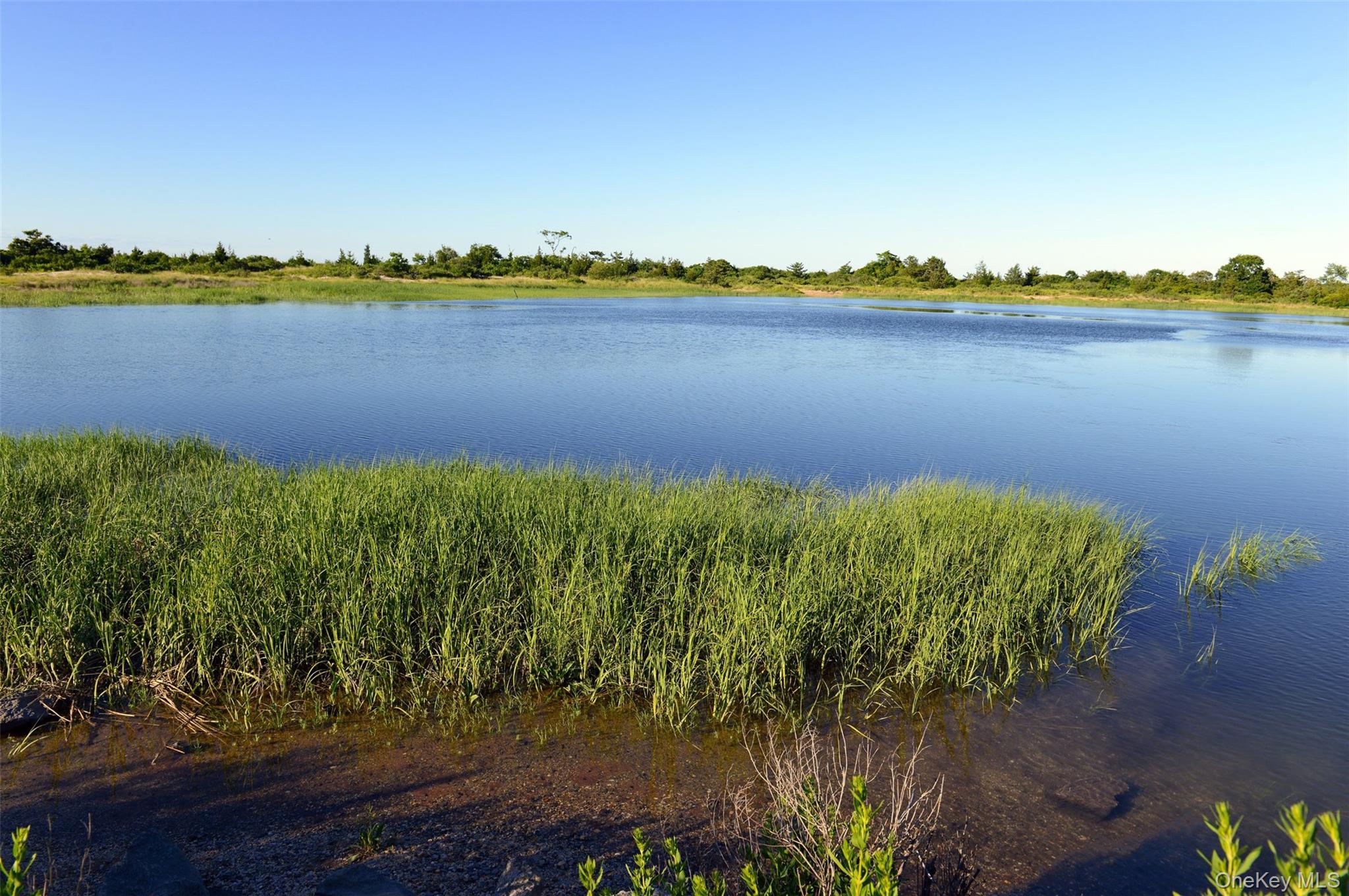 37 Barlow Lane Rye, NY 10580 - Photo 39 of 40 The Marshlands- a nature sanctuary is practically in your backyard