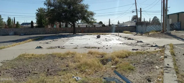 a view of a backyard of a house
