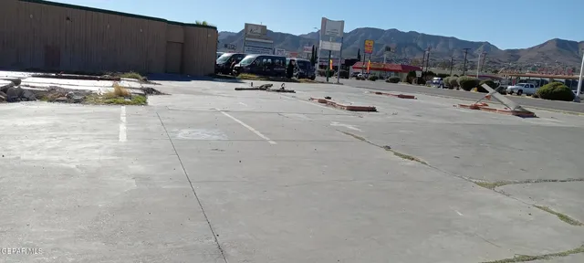 a view of backyard and tree
