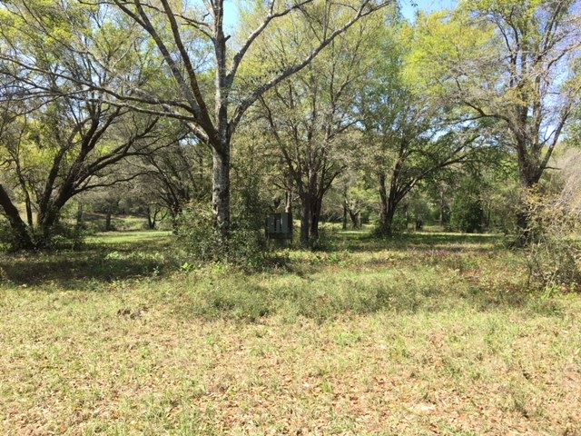 13158 Highway 98 Foley, AL 36535 - Photo 4 of 10