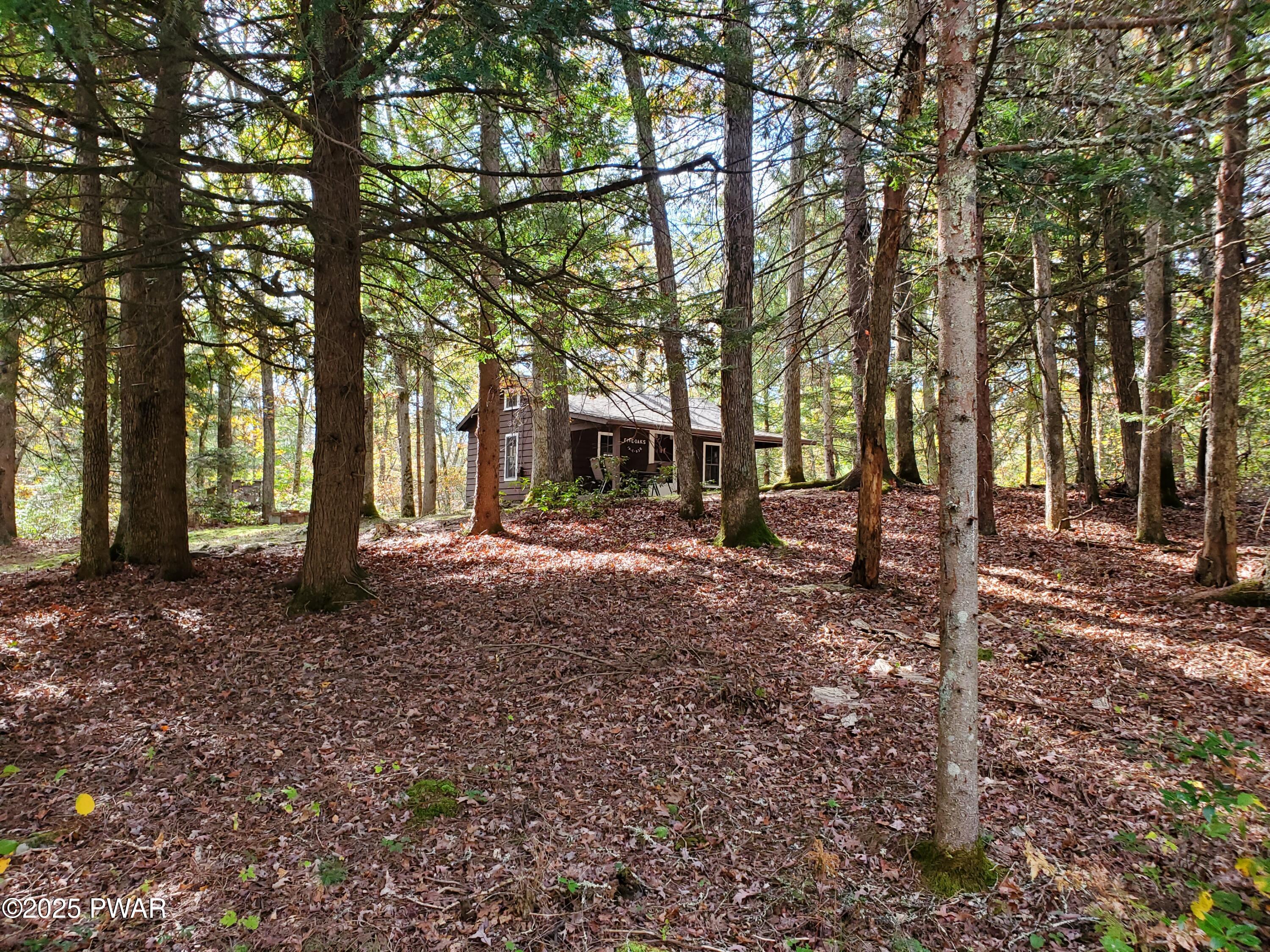 1014 Silver Lake Road Dingmans Ferry, PA 18328 - Photo 31 of 34 View from Road