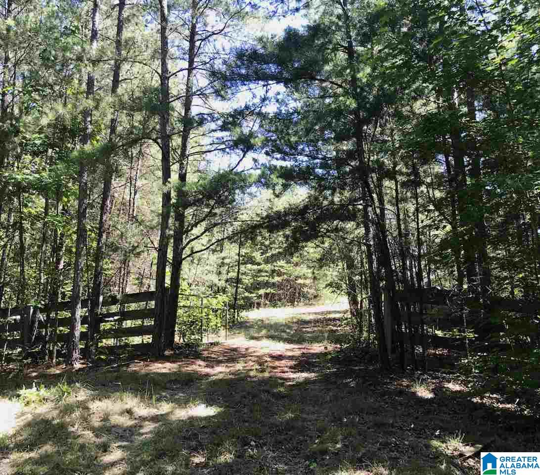 555 Cherokee Loop Oneonta, AL 35121 - Photo 11 of 12
