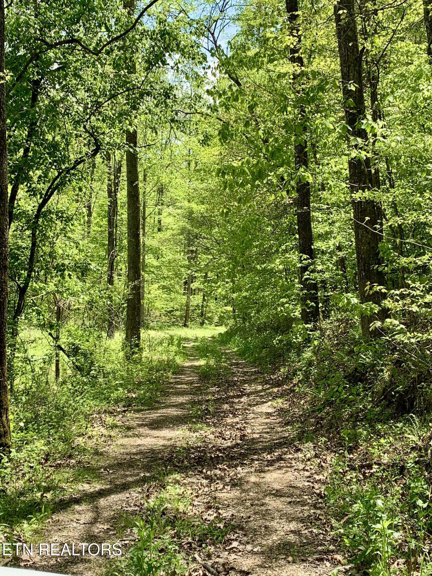1088 Jones Ridge Road Speedwell, TN 37870 - Photo 43 of 53 IMG_0066