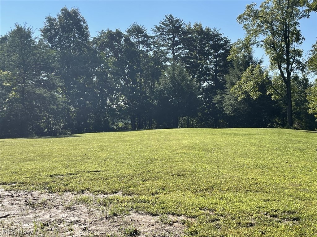 0 Cincinnati Ridge Road Coolville, OH 45723 - Photo 5 of 15 Front Plateau