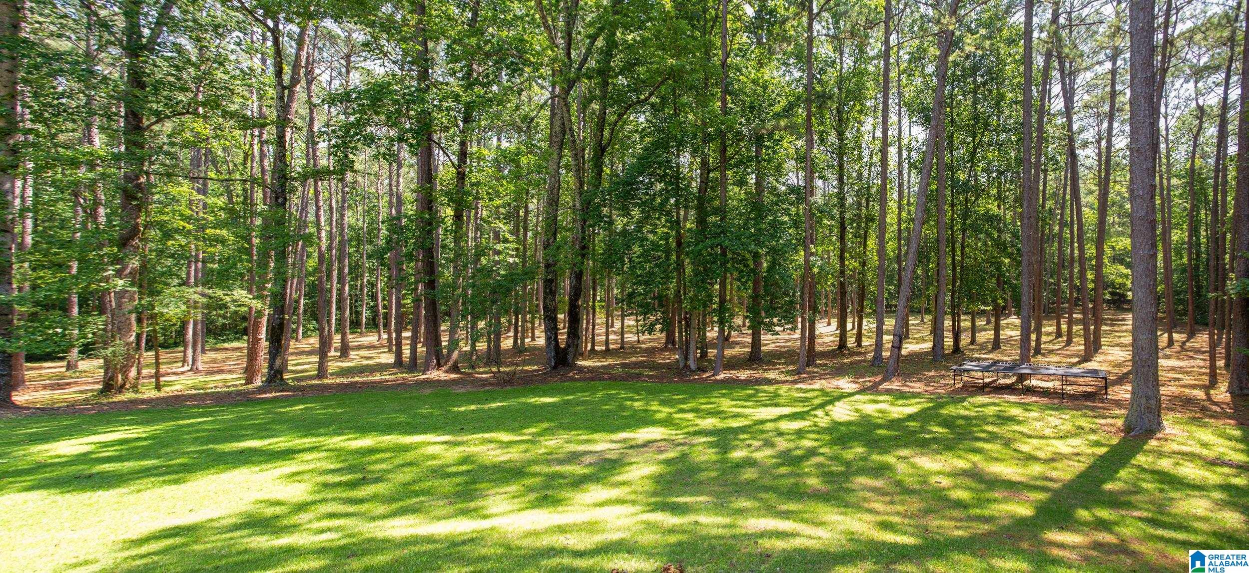 507 Jasmine Hill Road Anniston, AL 36207 - Photo 38 of 45