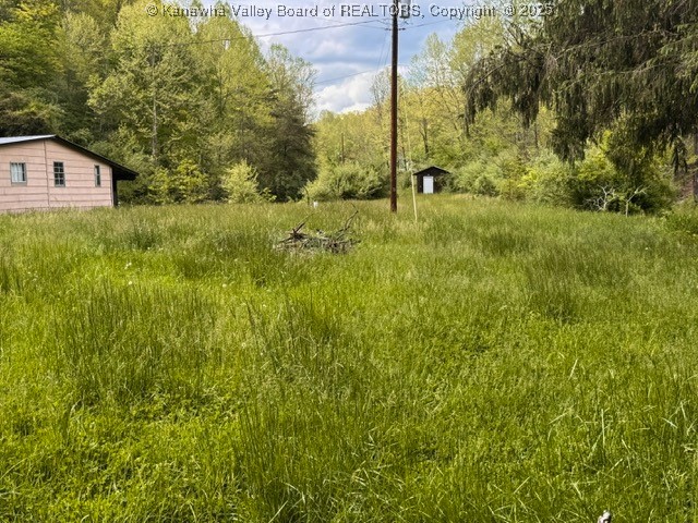 1070 Seaman Fork Road Reedy, WV 25270 - Photo 6 of 8 Gallery Image 6