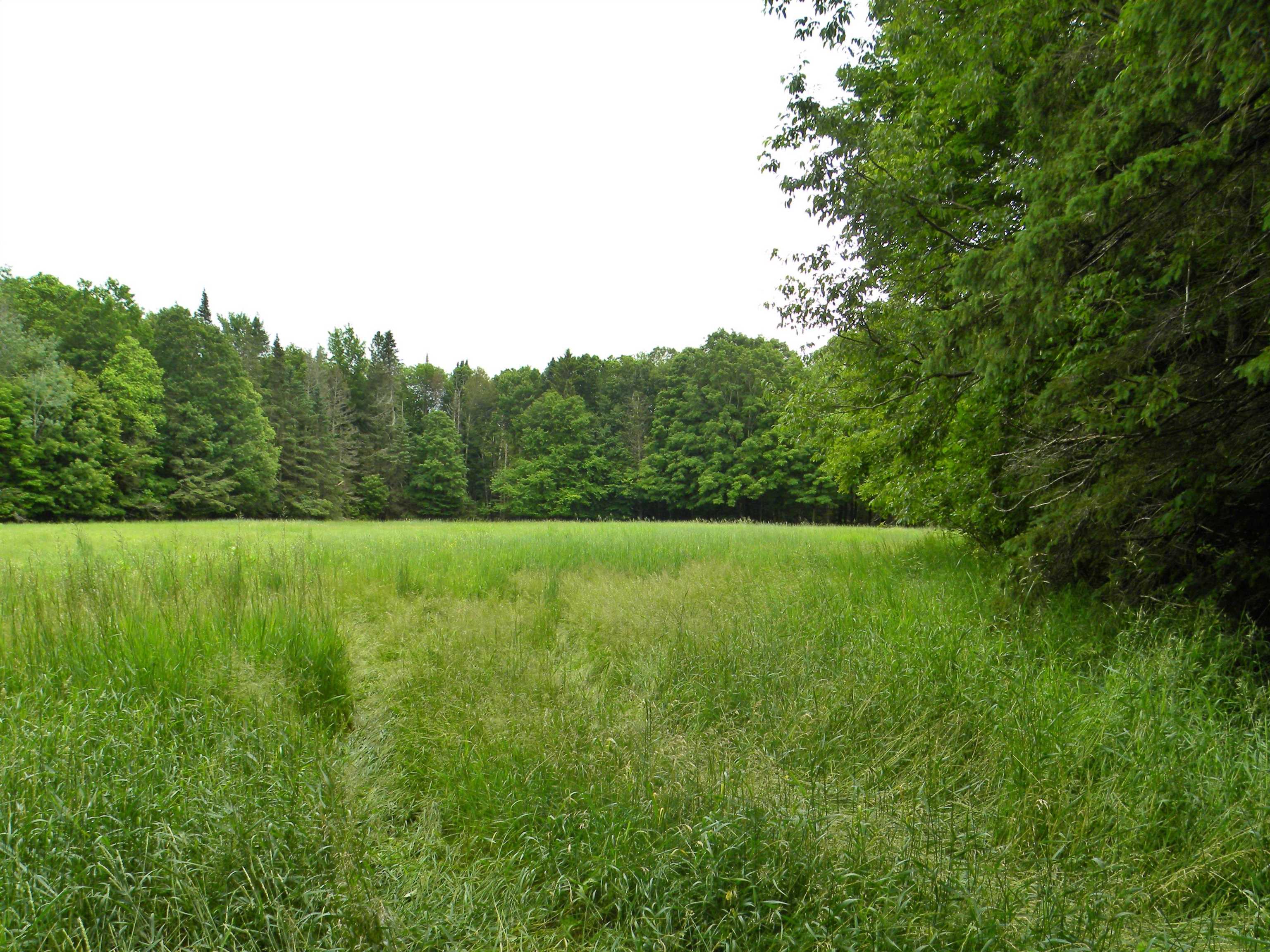 - Sugarhouse Road West Burke, VT 05871 - Photo 33 of 40 Gallery Image 33