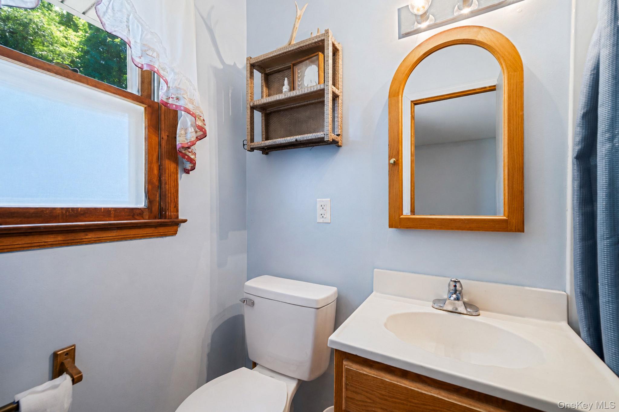 376 Moriches Road St. James, NY 11780 - Photo 18 of 31