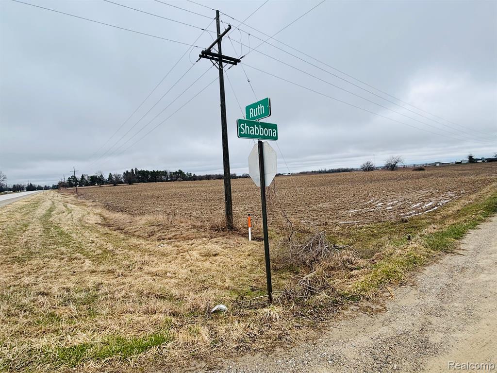 0 North Ruth Road Deckerville, MI 48427 - Photo 1 of 4