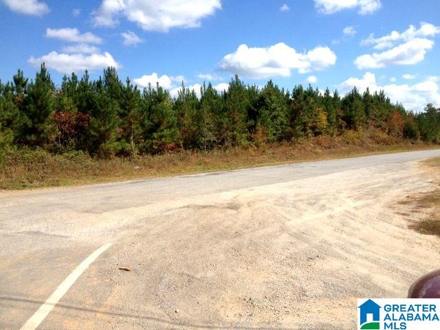 78 Highway 78, Unit 72 ACRES Heflin, AL 36264 - Photo 3 of 7