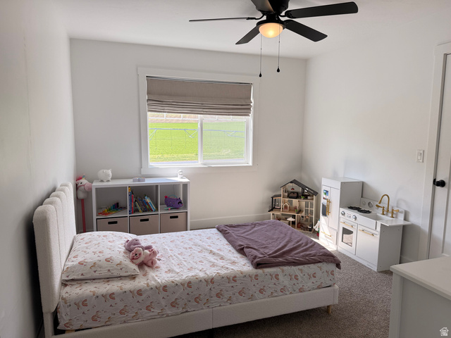 3607 South Parkinson Road South Franklin, ID 83237 - Photo 11 of 24 Carpeted bedroom with a ceiling fan and radiator heating unit