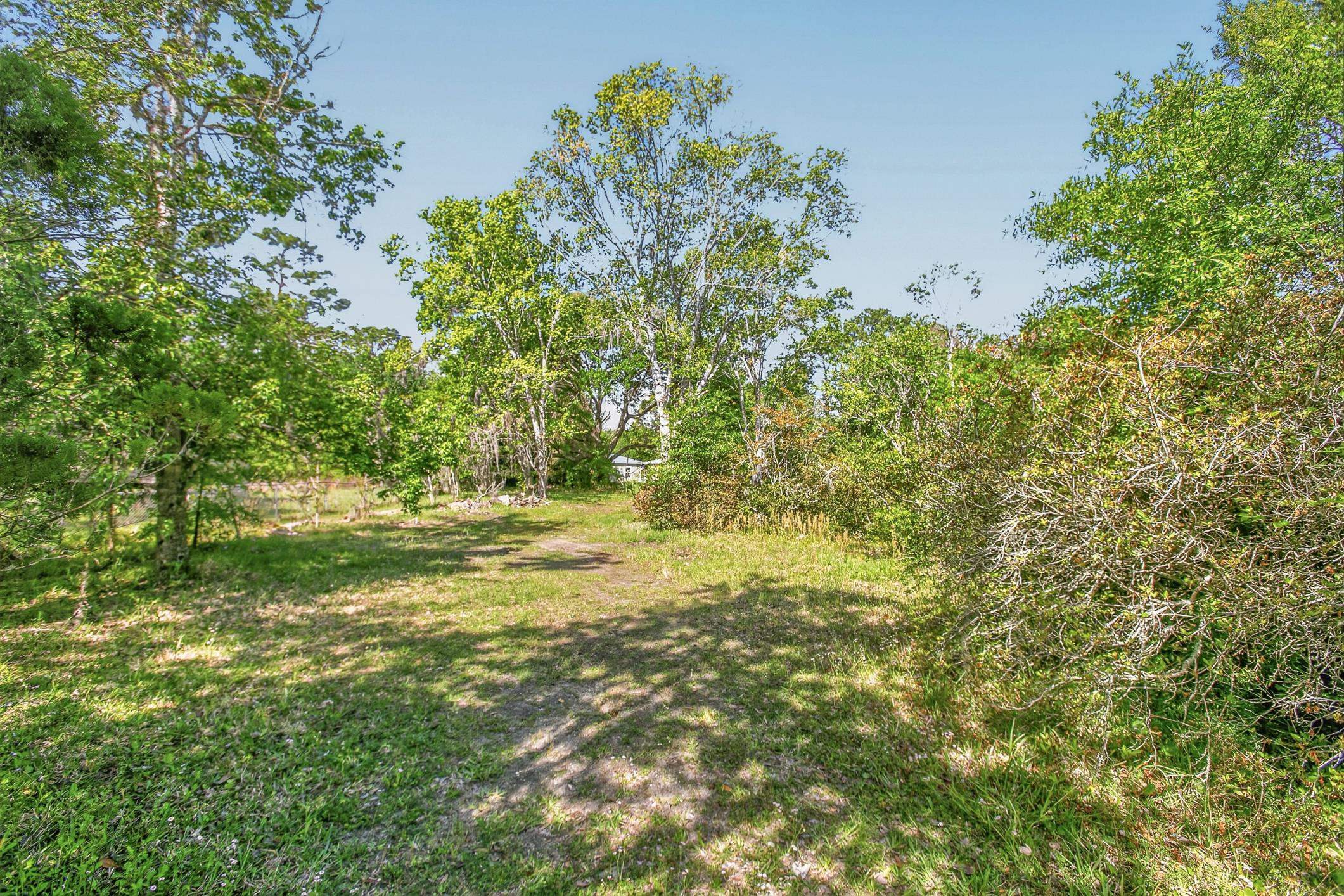 1148 Kerri Lynn Road St. Augustine, FL 32084 - Photo 15 of 35 a view of a yard with plants and large trees