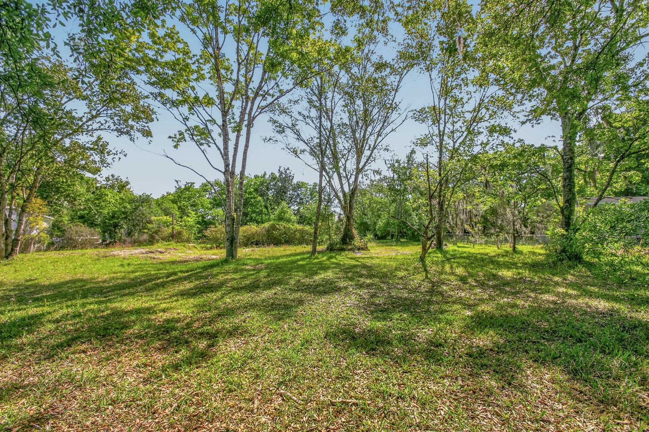 1148 Kerri Lynn Road St. Augustine, FL 32084 - Photo 17 of 35 a view of a yard with a tree