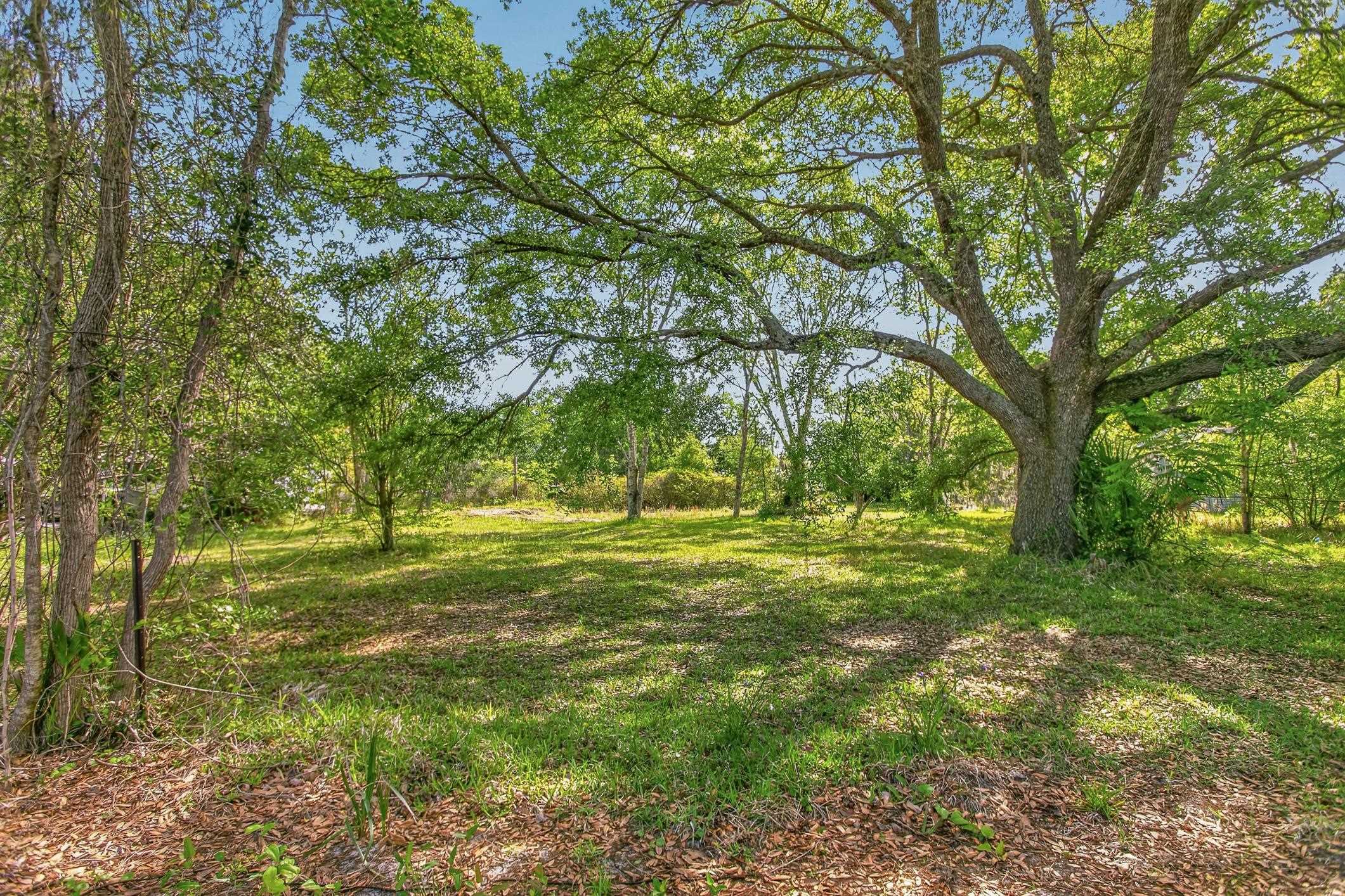 1148 Kerri Lynn Road St. Augustine, FL 32084 - Photo 18 of 35 a big yard with lots of green space and trees