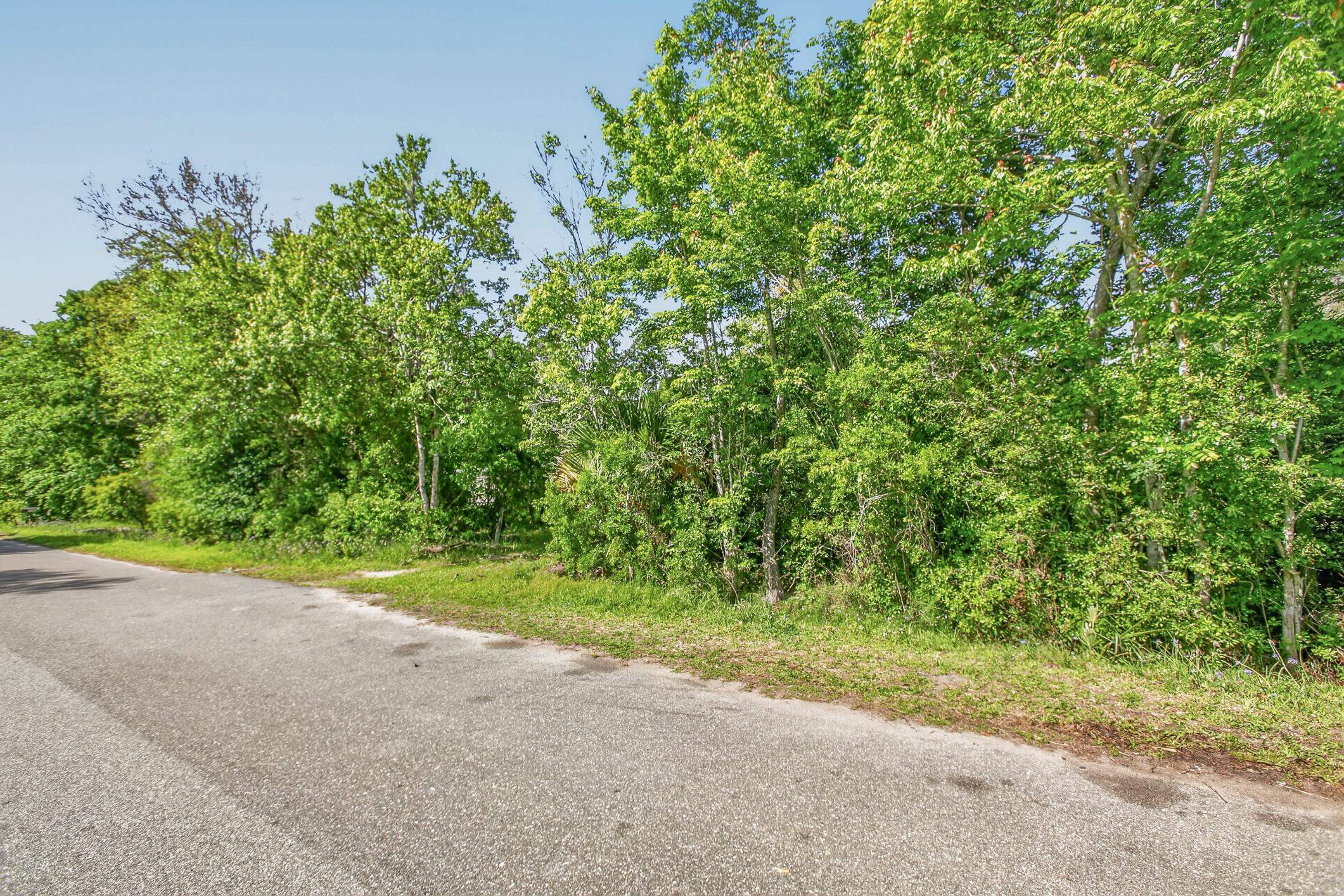 1148 Kerri Lynn Road St. Augustine, FL 32084 - Photo 27 of 35 a view of a yard with plants and large trees