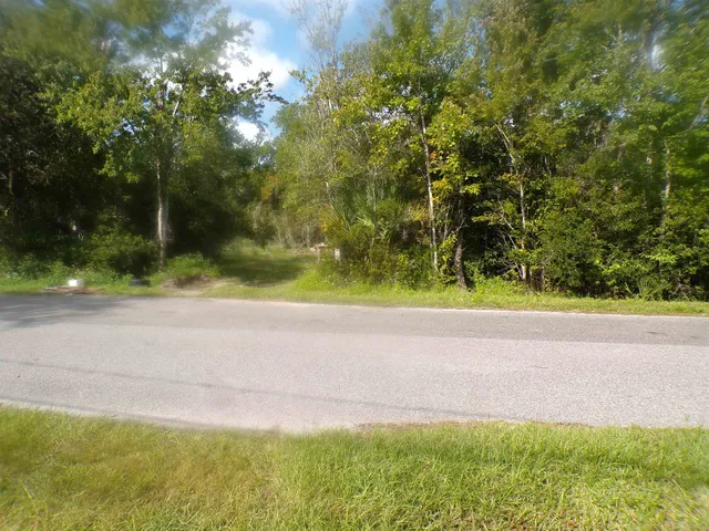 a view of a road with a yard and large trees