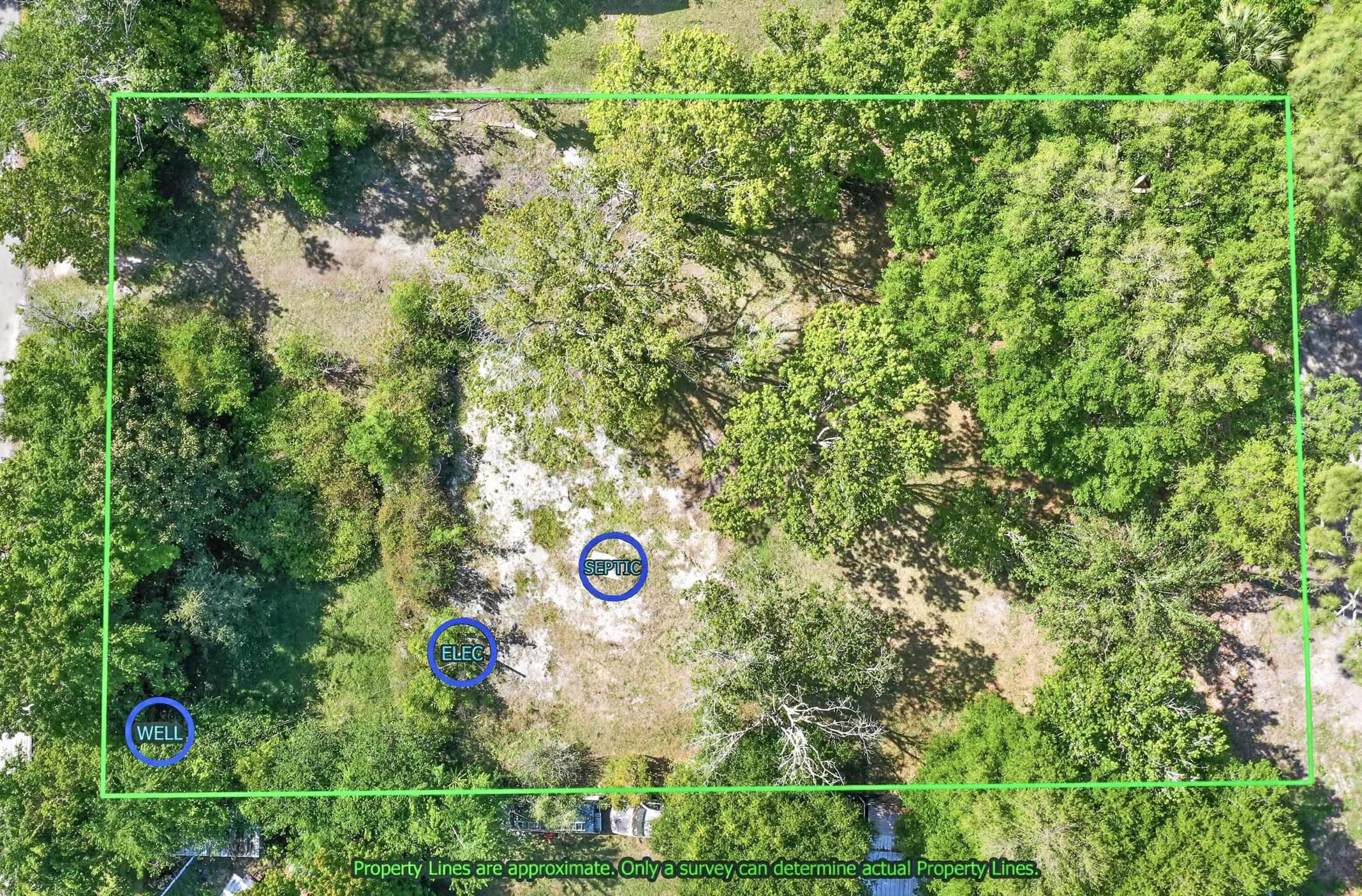 1148 Kerri Lynn Road St. Augustine, FL 32084 - Photo 9 of 35 an aerial view of a house with a yard and large trees