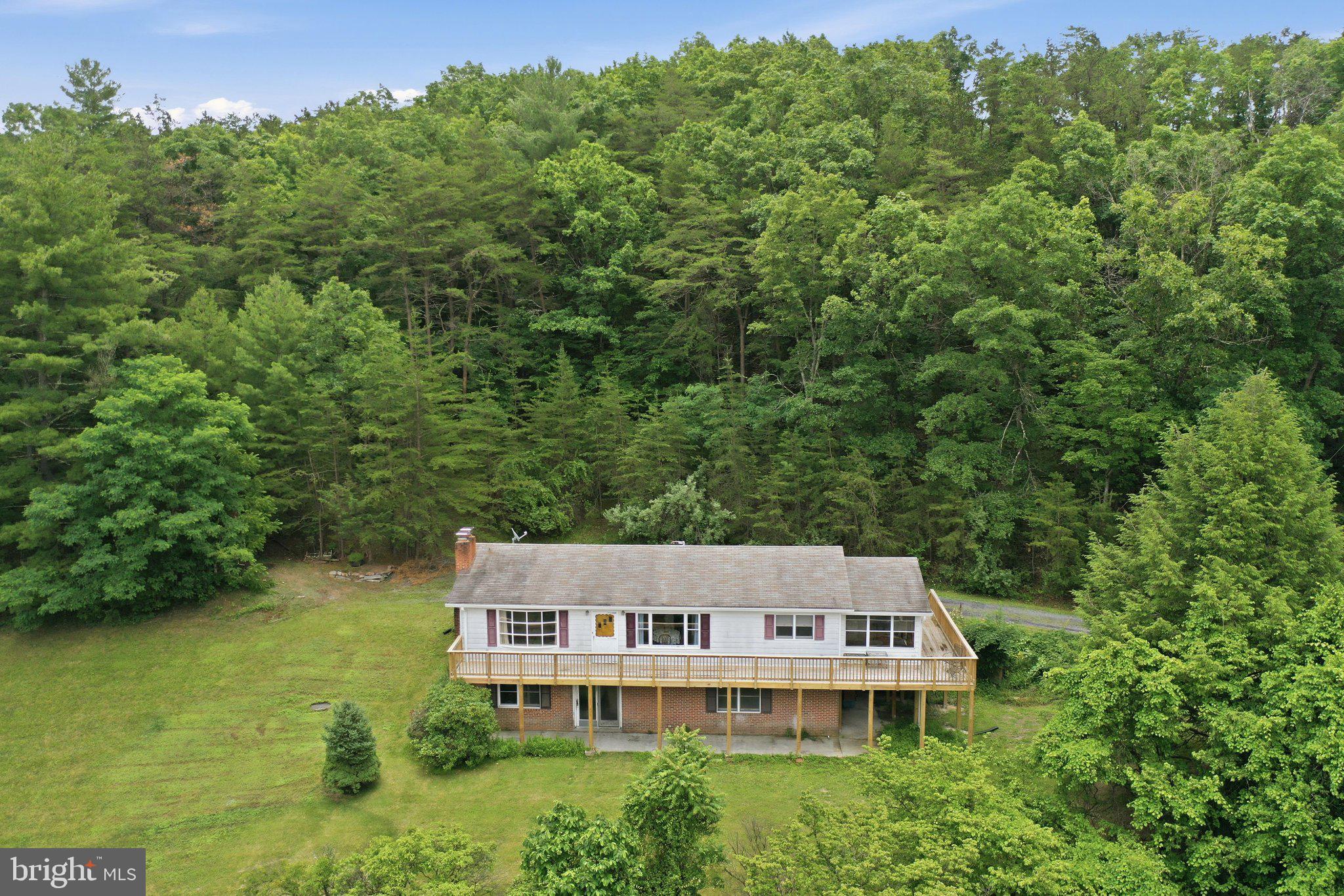 3704 Cedar Creek Road Star Tannery, VA 22654 - Photo 4 of 46