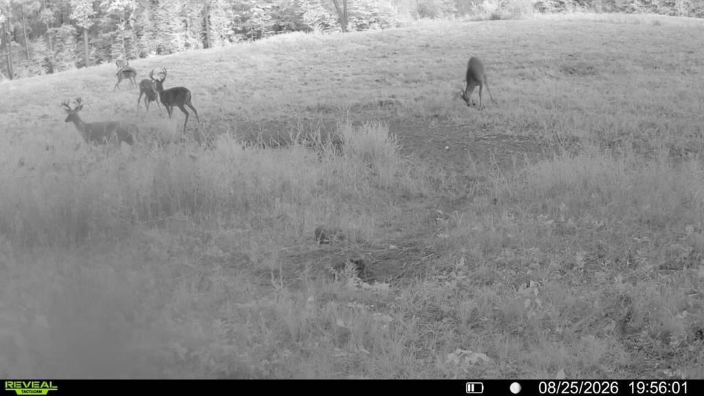 1 Comet Road Exeland, WI 54835 - Photo 17 of 32 Gallery Image 17