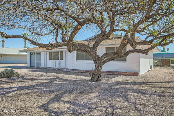 a house that has a tree in front of it
