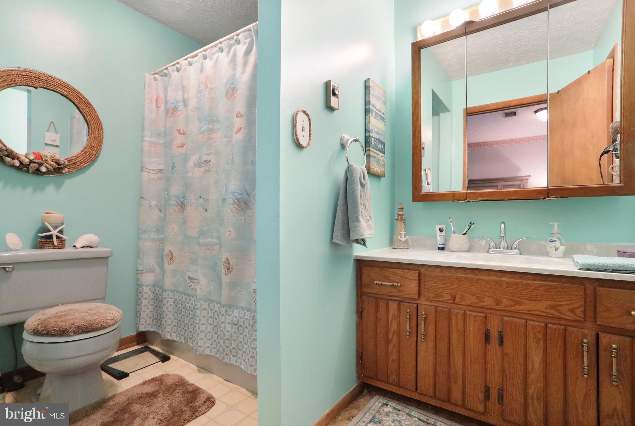 2919 Koontztown Road Falling Waters, WV 25419 - Photo 5 of 42 Master Bath