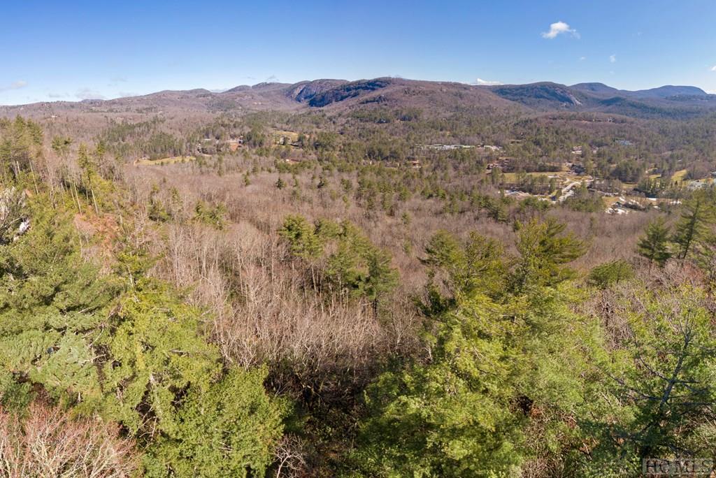 Lot 54 Ledgeview Road Cashiers, NC 28717 - Photo 1 of 16 Gallery Image 1