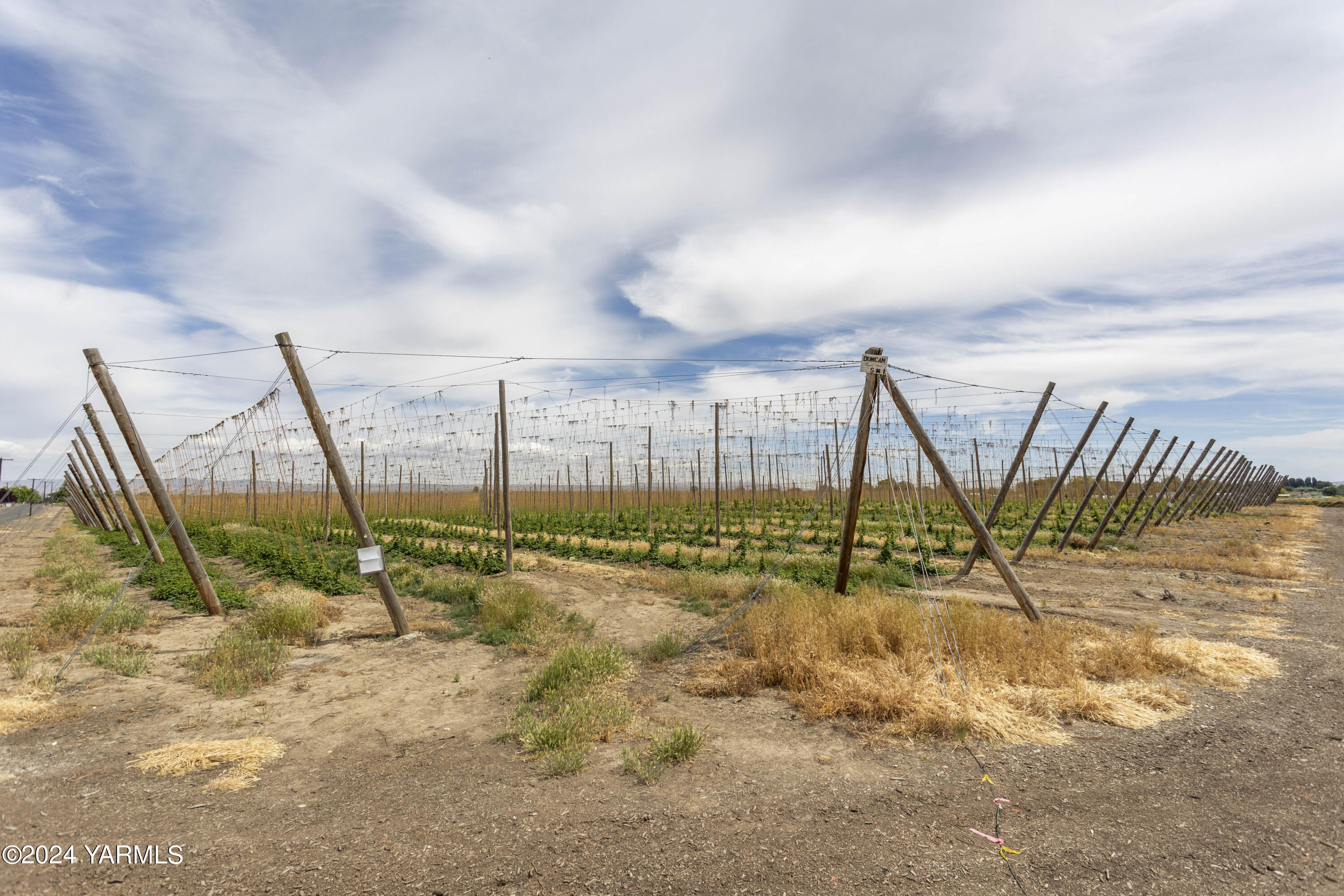 Tbd Apricot Road Grandview, WA 98930 - Photo 16 of 18 a view of a terrace