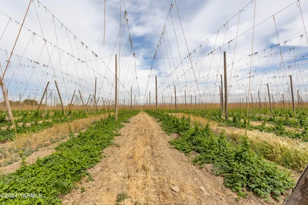 $435,000 | Tbd Apricot Road, Grandview, WA 98930