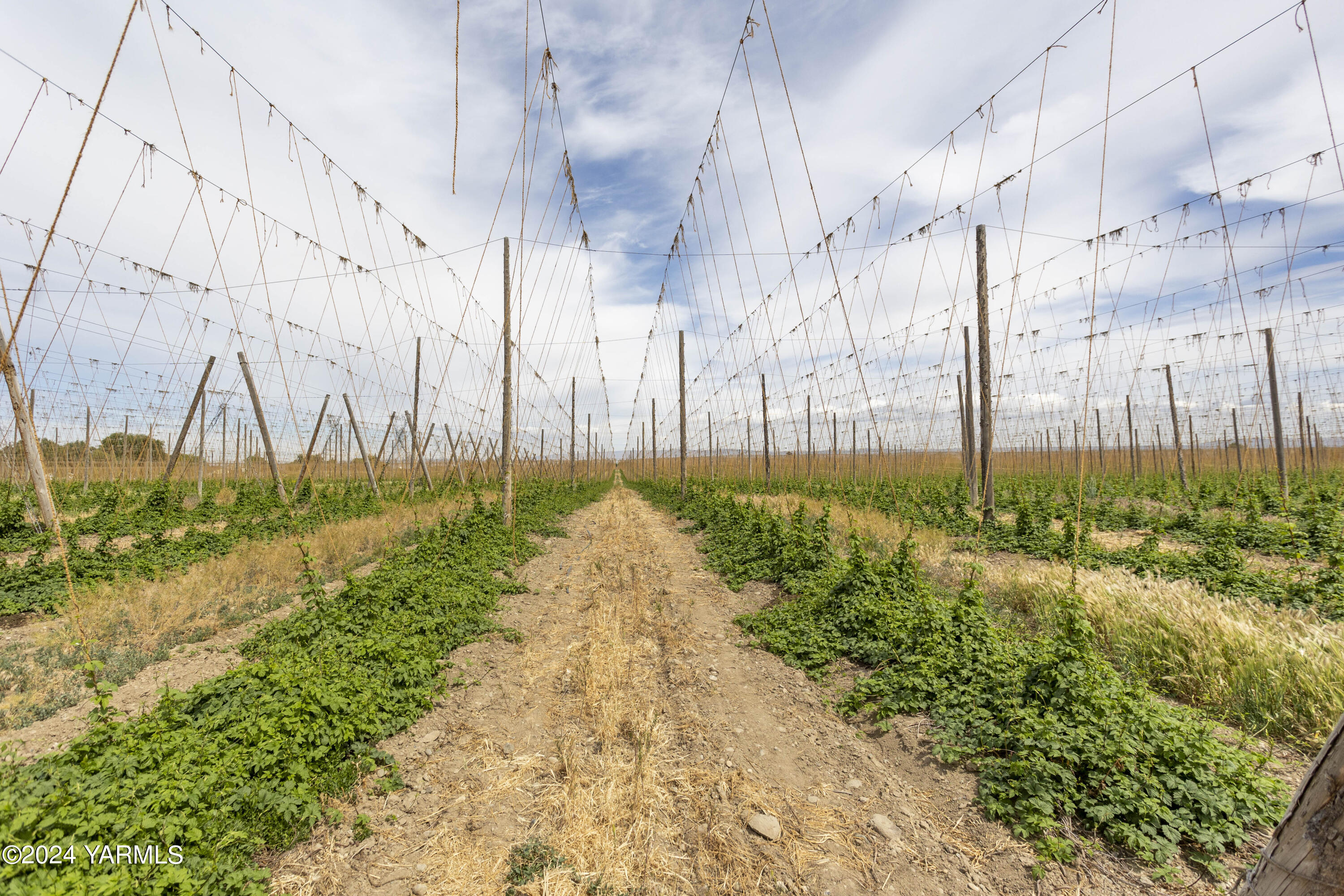 Tbd Apricot Road Grandview, WA 98930 - Photo 17 of 18 a view of a pathway with a park