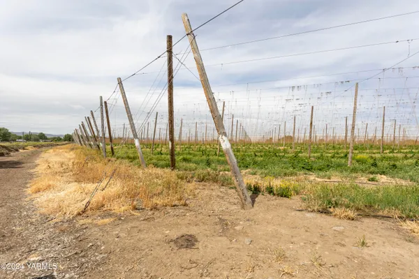 $435,000 | Tbd Apricot Road, Grandview, WA 98930