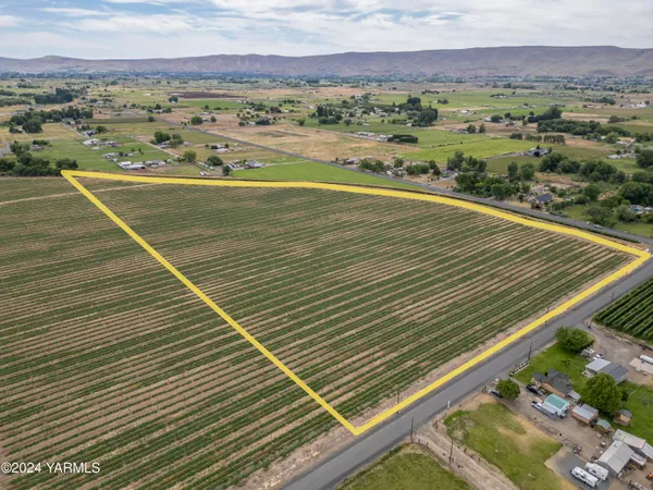 a view of city with ocean
