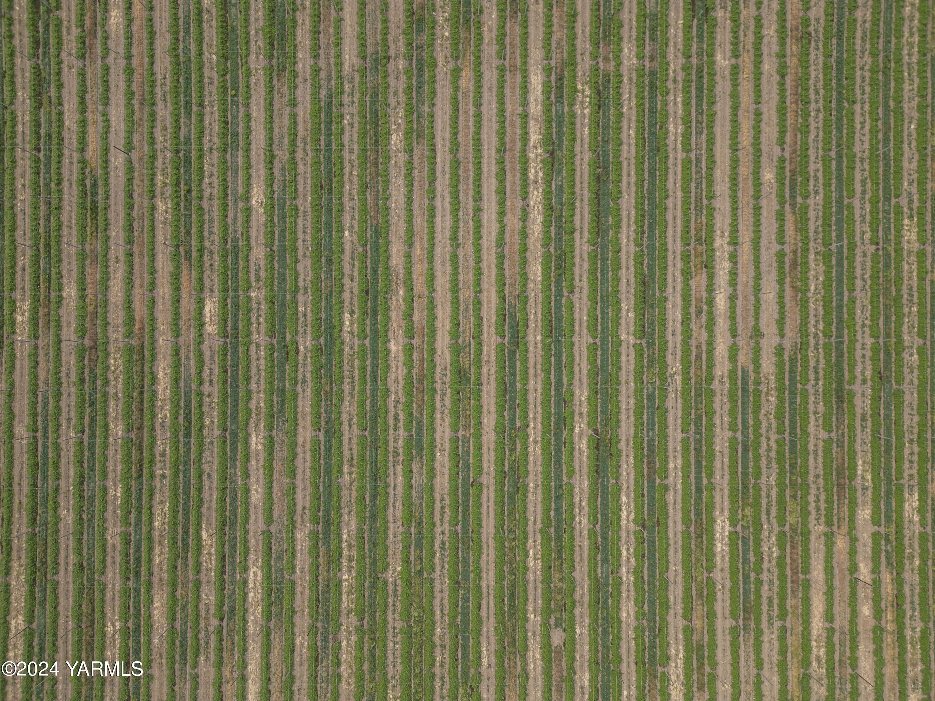 Tbd Apricot Road Grandview, WA 98930 - Photo 10 of 18