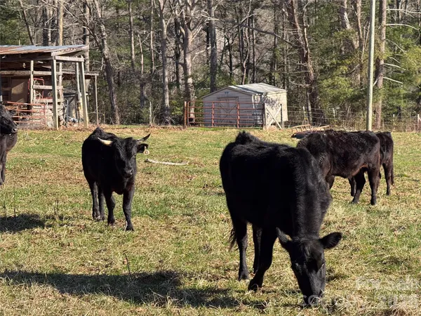 $550,000 | 37 Cherokee Trail, Fletcher, NC 28732