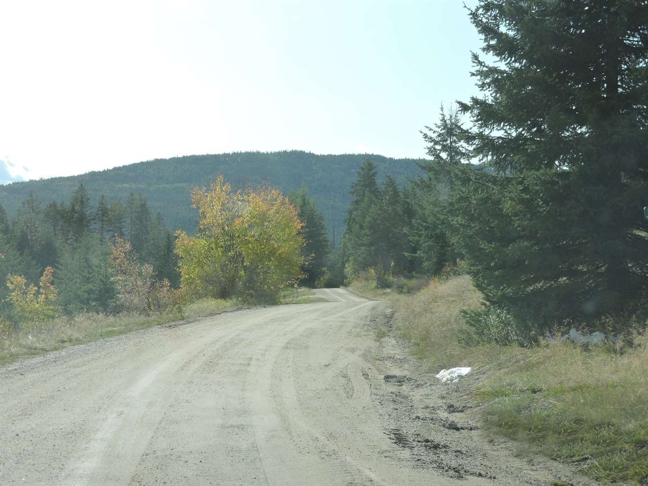 48 Jacknife Cutoff Road Kettle Falls, WA 99141 - Photo 4 of 20 Gallery Image 4