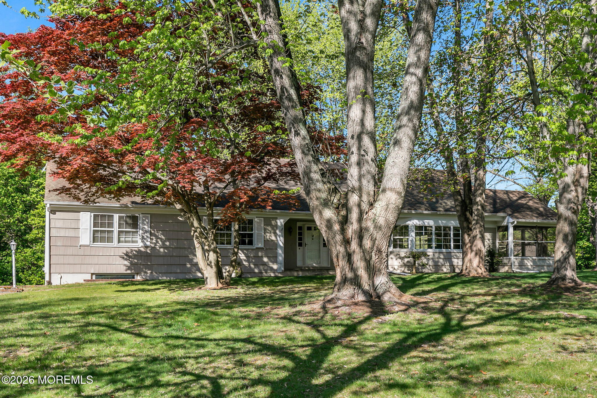 3-web-or-mls-4M3A5861