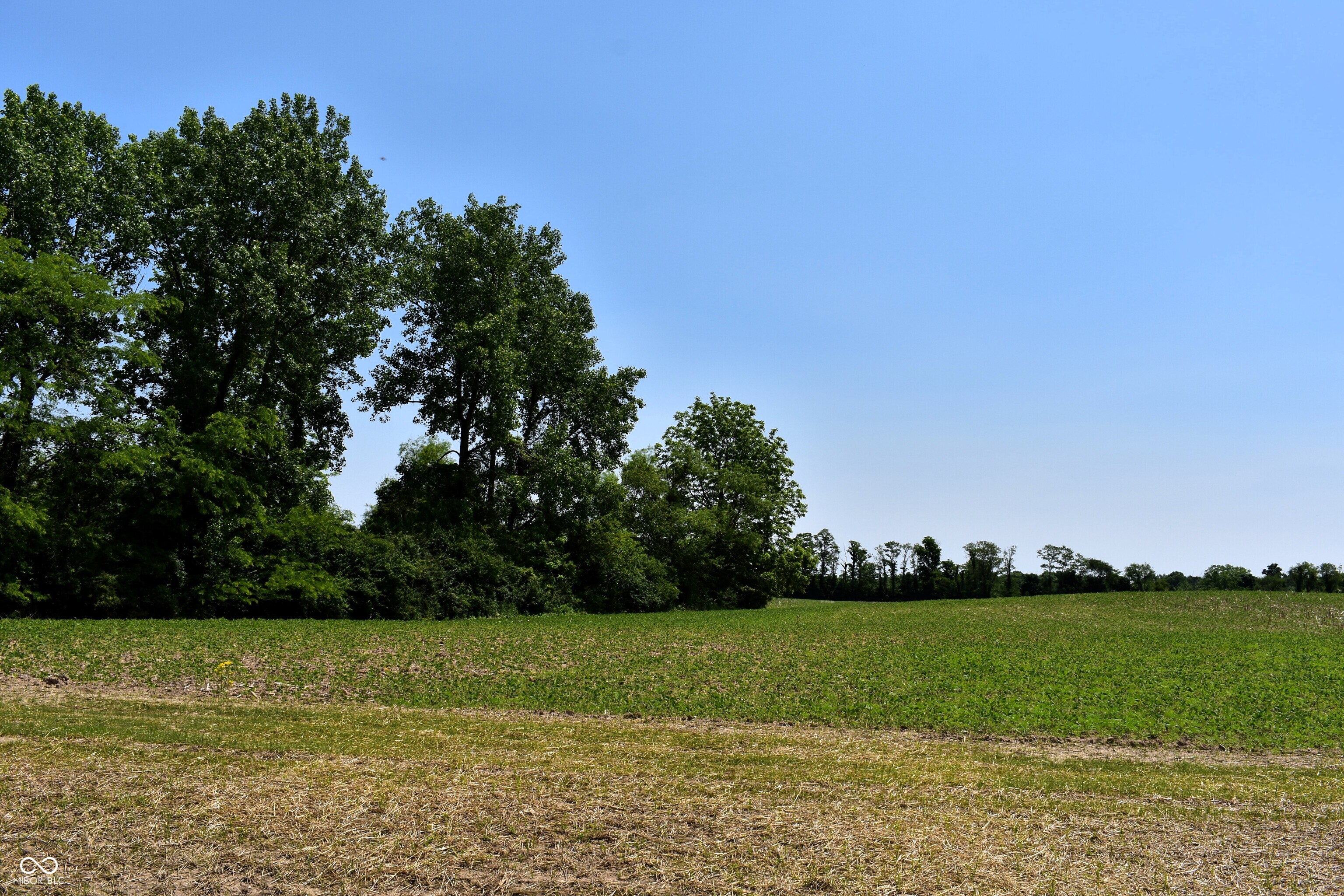 0 Dayhuff Road East Mooresville, IN 46158 - Photo 19 of 22