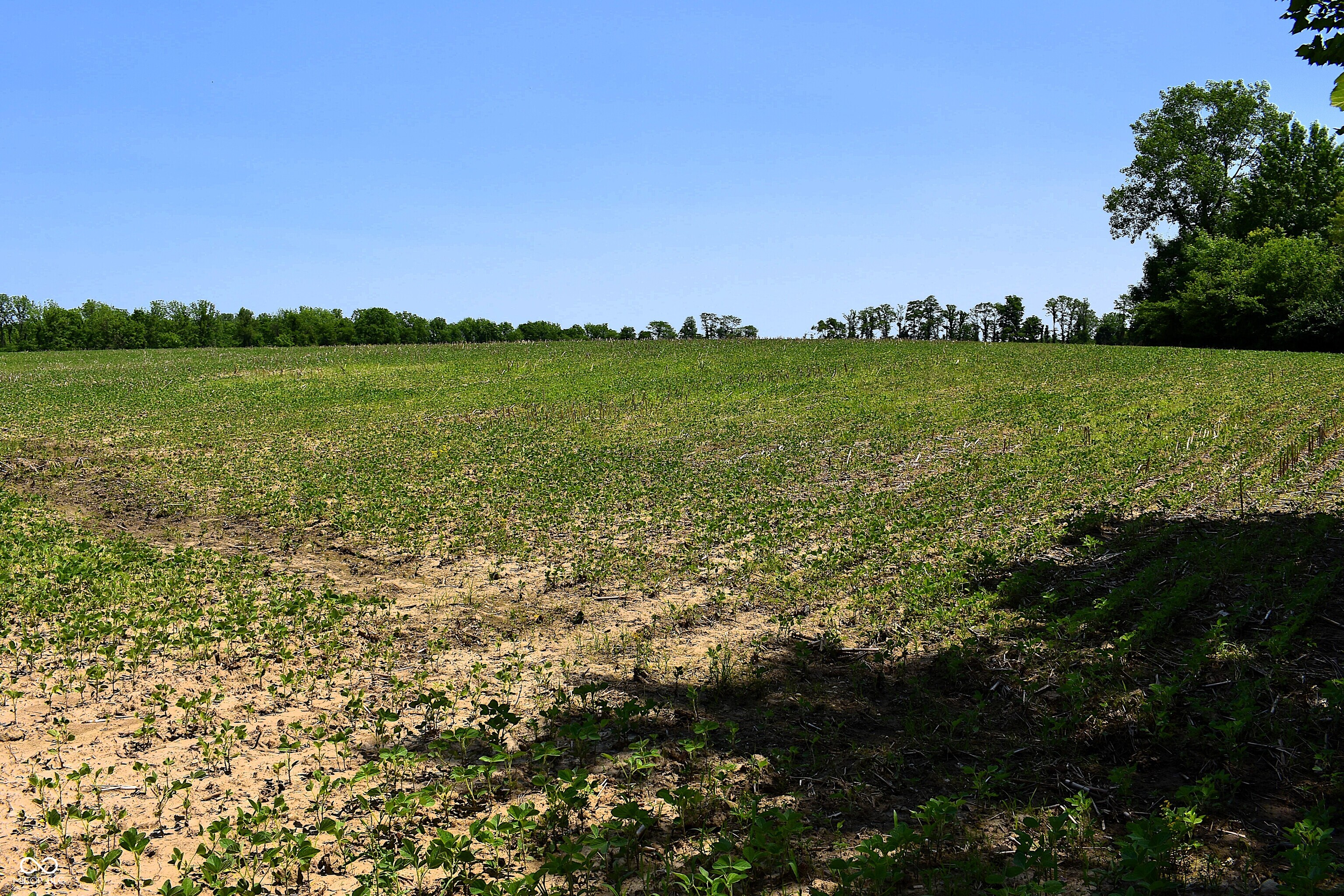 0 Dayhuff Road East Mooresville, IN 46158 - Photo 21 of 22