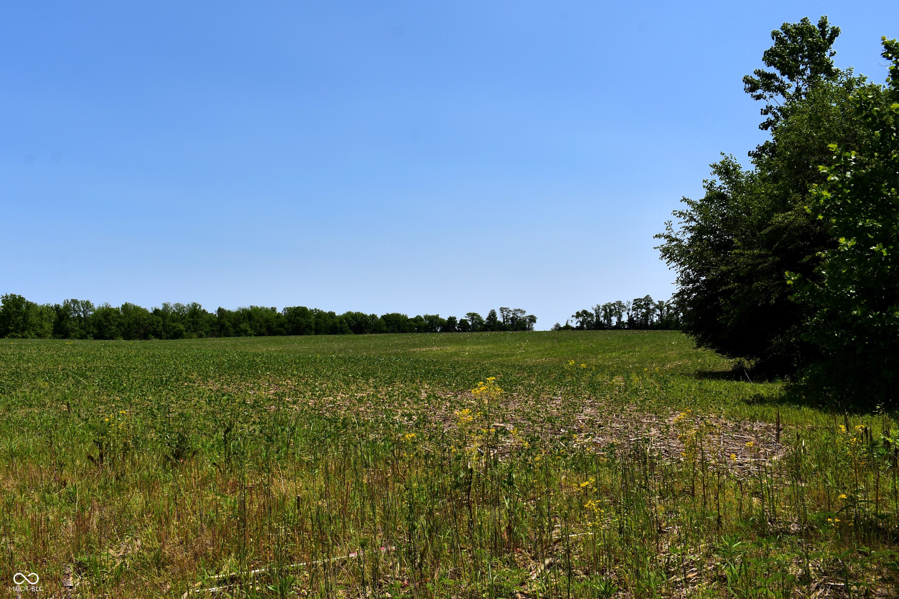 0 Dayhuff Road East Mooresville, IN 46158 - Photo 22 of 22