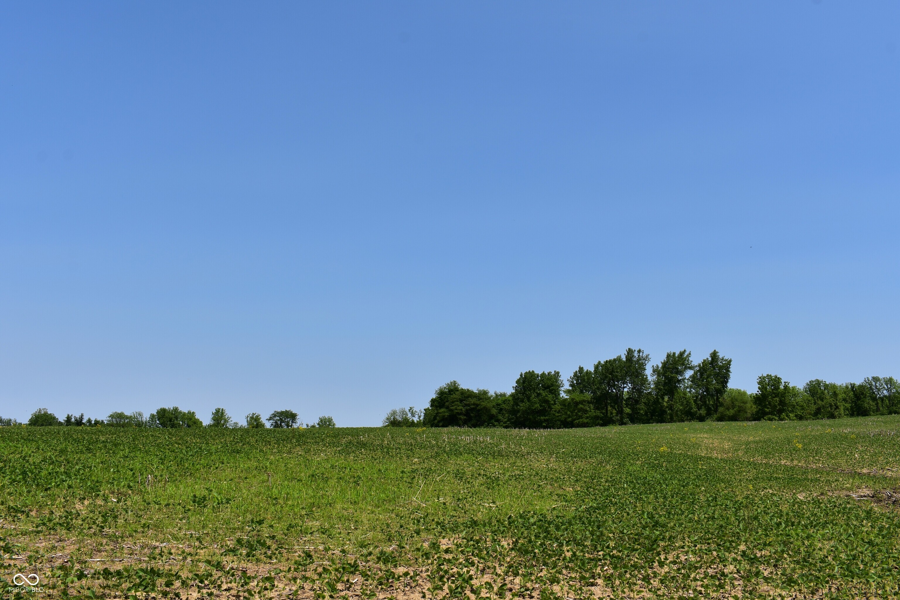 0 Dayhuff Road East Mooresville, IN 46158 - Photo 4 of 22