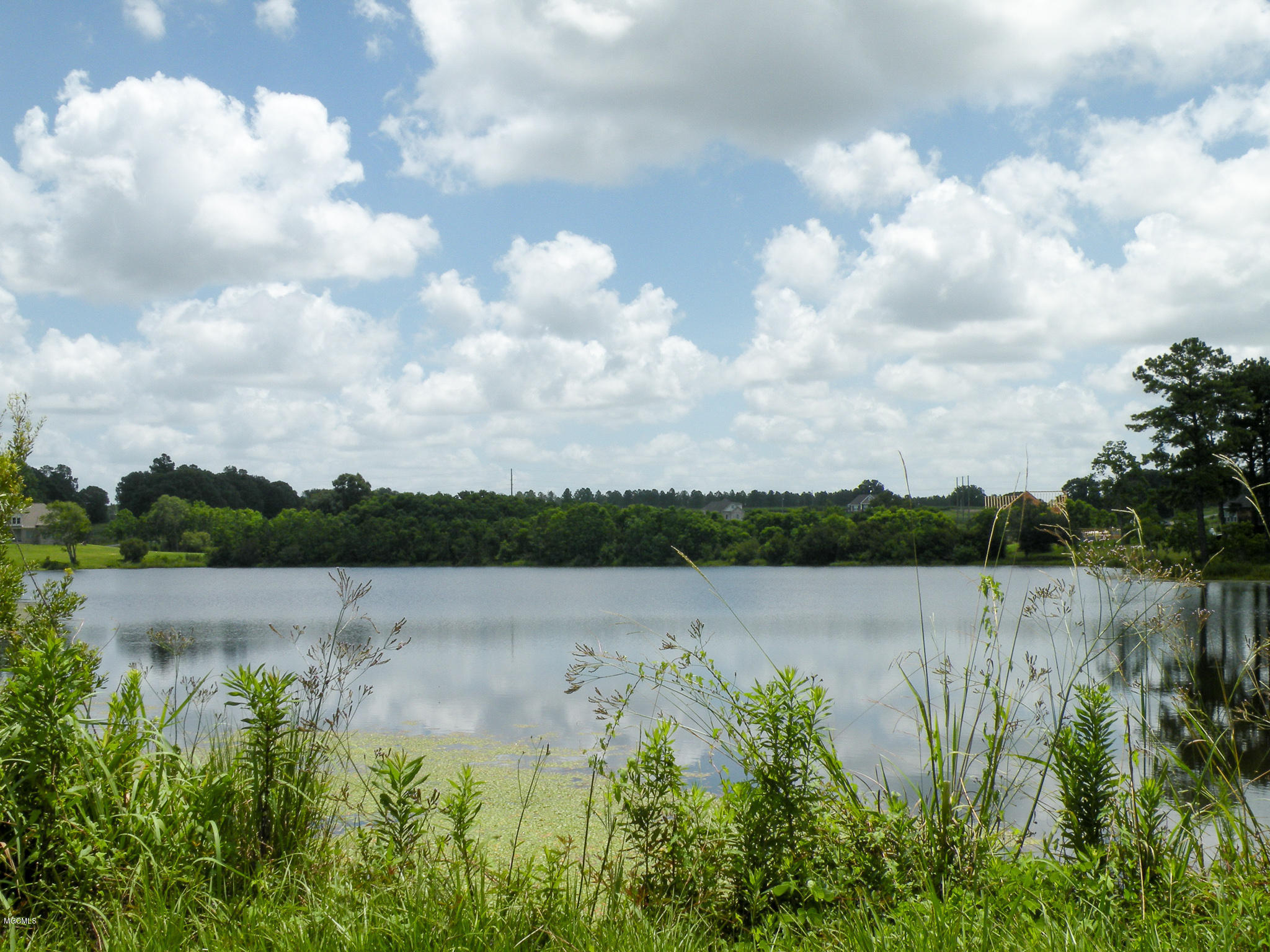 43 Susan Cooley Road Lucedale, MS 39452 - Photo 30 of 33 DSCN8203