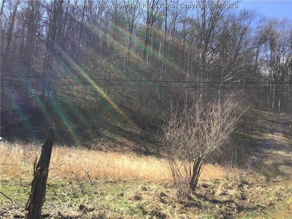 0 Bulger Road Alkol, WV 25501 - Photo 16 of 50 Gallery Image 16